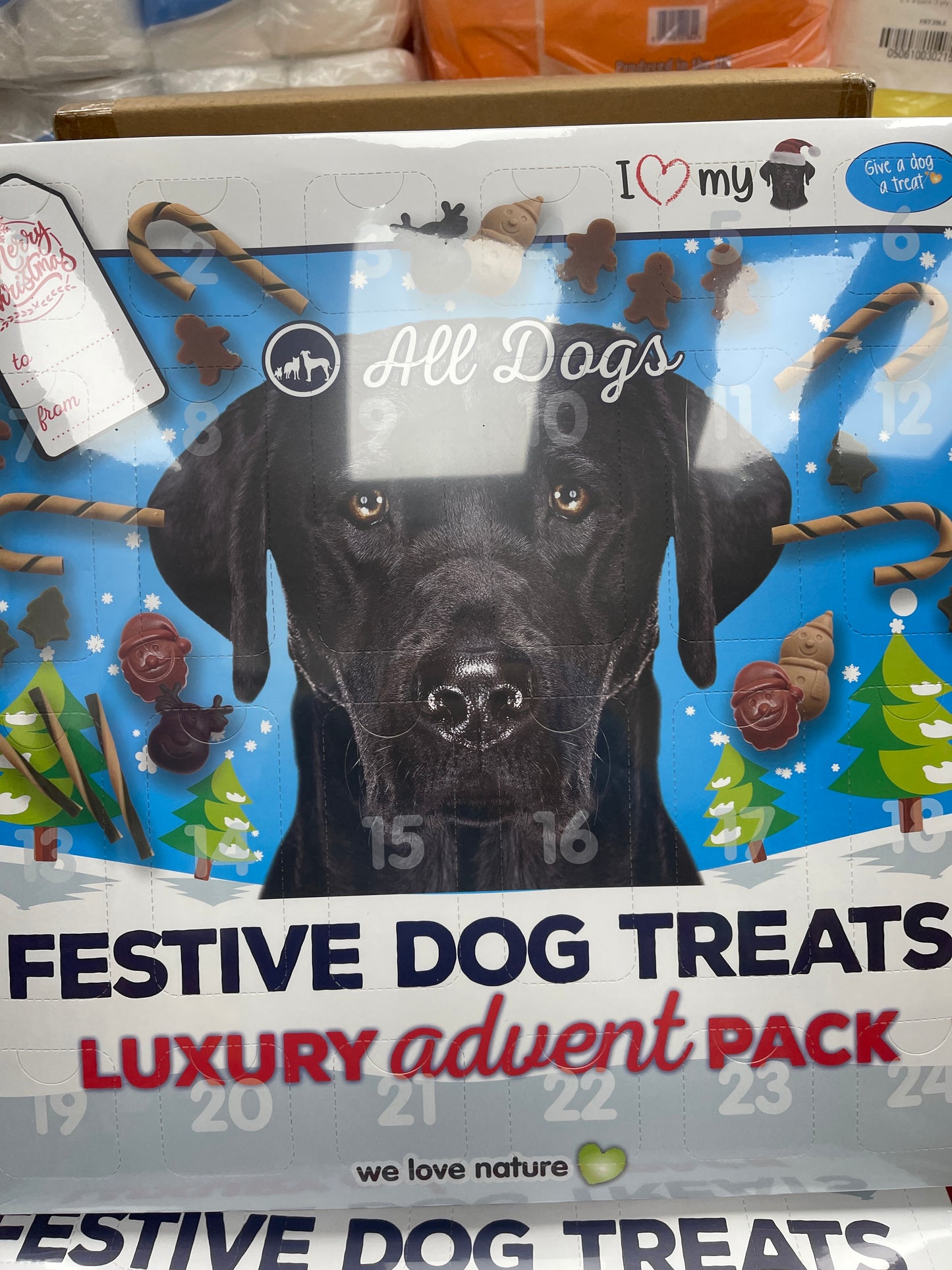 Festive dog treats advent calendar